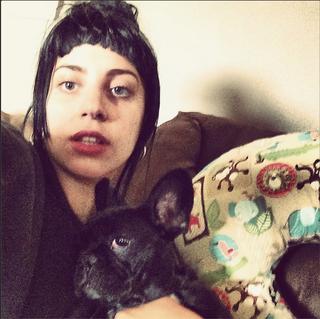 Lady Gaga przesadza w miłości do psa.