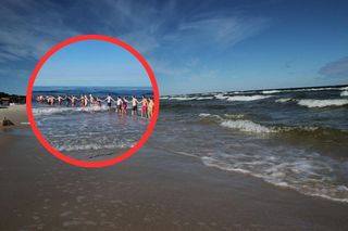 Dramatyczna akcja w Łebie! 3-latek zaginął na plaży, bo chciał umyć rączki w morzu