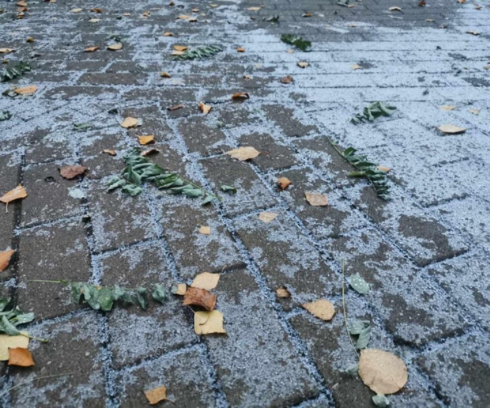 Niebezpiecznie na ulicach i chodnikach w Toruniu! Apel Centrum Zarządzania Kryzysowego