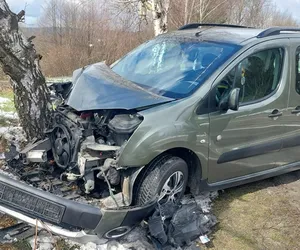 Kraksa pod Tarnowem. Wypadł z jezdni i rozbił peugeota o przydrożne drzewo