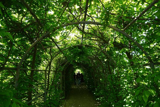 Ogród Botaniczny w Kielcach