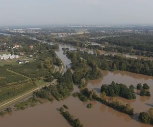 Wschodnia Obwodnica Wrocławska – rozlewisko