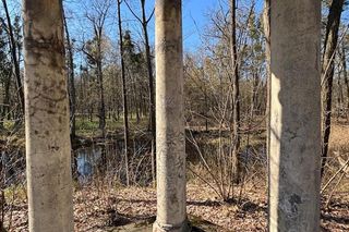 Pałac w Kopicach jest przywracany do świetności