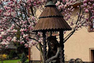 Wiosna walczy z zimą