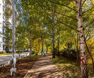 Park linearny na Służewcu w Warszawie pod koniec budowy