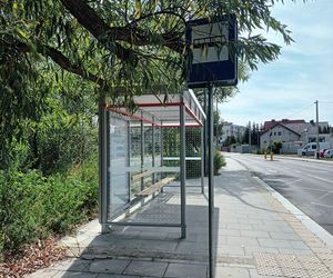 Autobusy wracają na Kąty Grodziskie