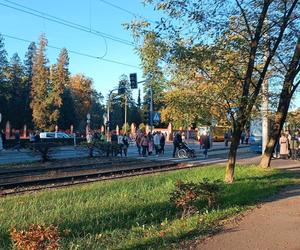 Tłumy na grobach we Wrocławiu. Zobaczcie zdjęcia z cmentarzy [GALERIA]