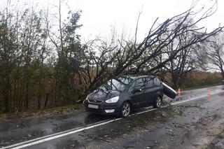 Orkan Grzegorz w Małopolsce: Zerwane dachy, powalone drzewa [ZDJĘCIA, AUDIO]