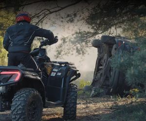 M jak miłość, odc. 1875. Dominik Walat (Bartosz Surówka)