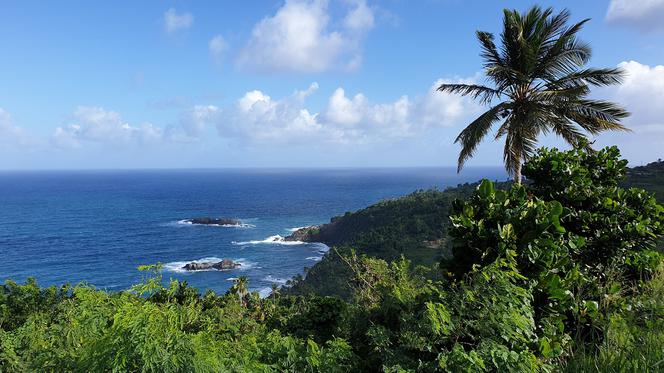 Prawdziwy pirat z Karaibów! Maciek Ganc z Płocka odwiedził najbardziej ekskluzywną wyspę świata (część 3)