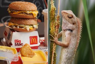 Klientka McDonald's we Francji przeżyła szok! Obrzydliwe znalezisko w popularnej kanapce