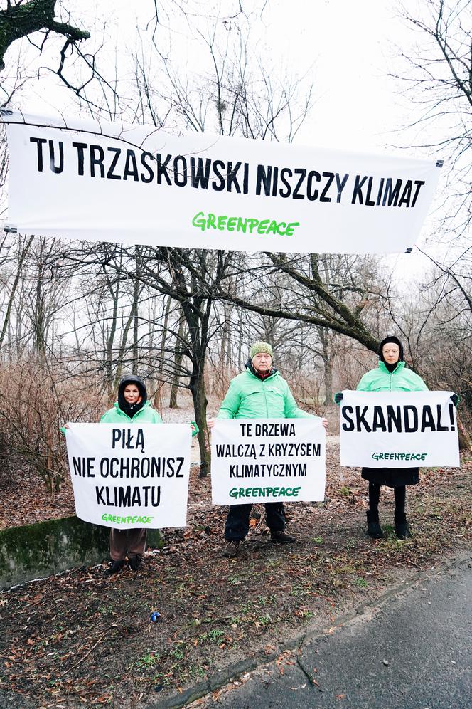 Aktywiści Greenpeace bronią drzew nad Wisłą