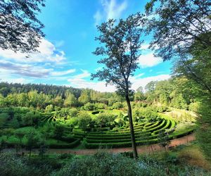 Arboretum Bramy Morawskiej zachwyca jesienią