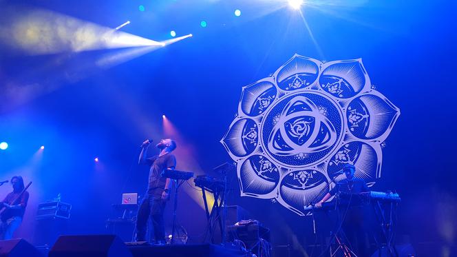 Dub Fx na One Love Sound Fest 2018