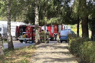 Broń i materiały wybuchowe w mieszkaniu. Konieczna ewakuacja bloku w Olsztynie