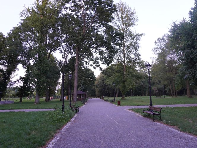 Park w gminie Mełgiew