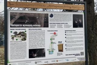 Lublin - nietoperze na miejskiej ścieżce edukacyjnej