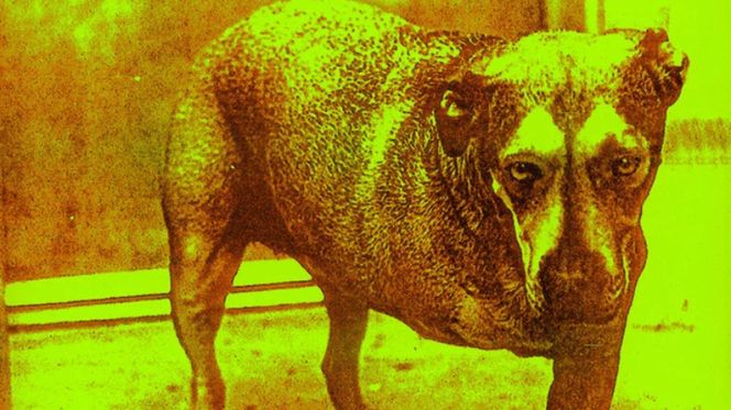 Sprawdźcie w galerii >>> 