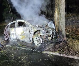 Dramatyczny wypadek w Herbutowie! Auto uderzyło w drzewo i spłonęło. Jedna osoba nie żyje