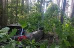 Wypadek pod Toruniem. Zakrwawiony kierowca wjechał autem w las