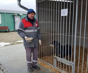 Schronisko dla bezdomnych zwierząt w Henrykowie będzie większe. Powstanie przy nim cmentarz dla zwierząt