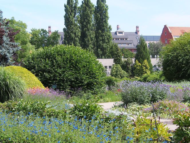 Ogród Botaniczny Uniwersytetu Wrocławskiego 