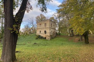 Zamek w Dąbrówce Starzeńskiej
