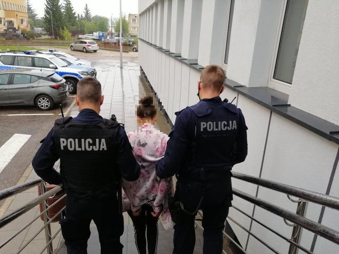 Suwałki. W słoikach były narkotyki, a w ogródku namiot z plantacją [ZDJĘCIA]