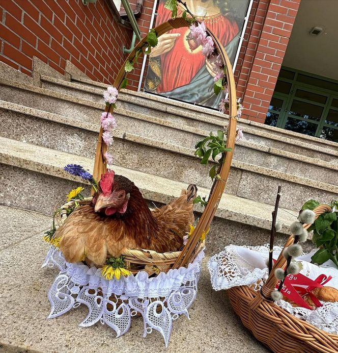 Gwiazdy w mediach społecznościowych pokazały swoje święconki