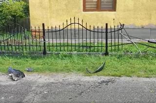  Maryniów. Wypadek 19-letniego motocyklisty [GALERIA]	