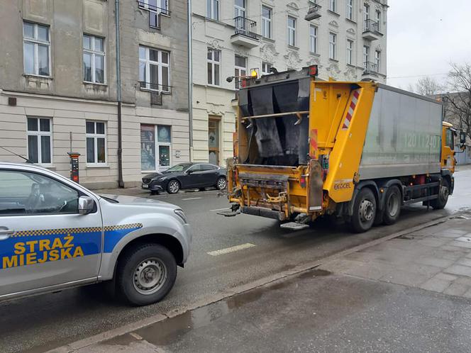 W Łodzi wyrzucono chomika na śmietnik. Uratowali go pracownicy MPO!