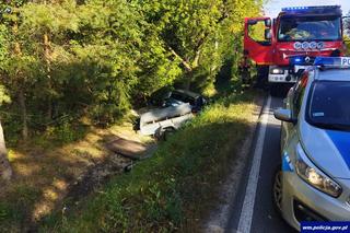 Wypadek na trasie Kętrzyn - Mrągowo. Auto uderzyło w drzewo. Kierowca ranny [ZDJĘCIA]