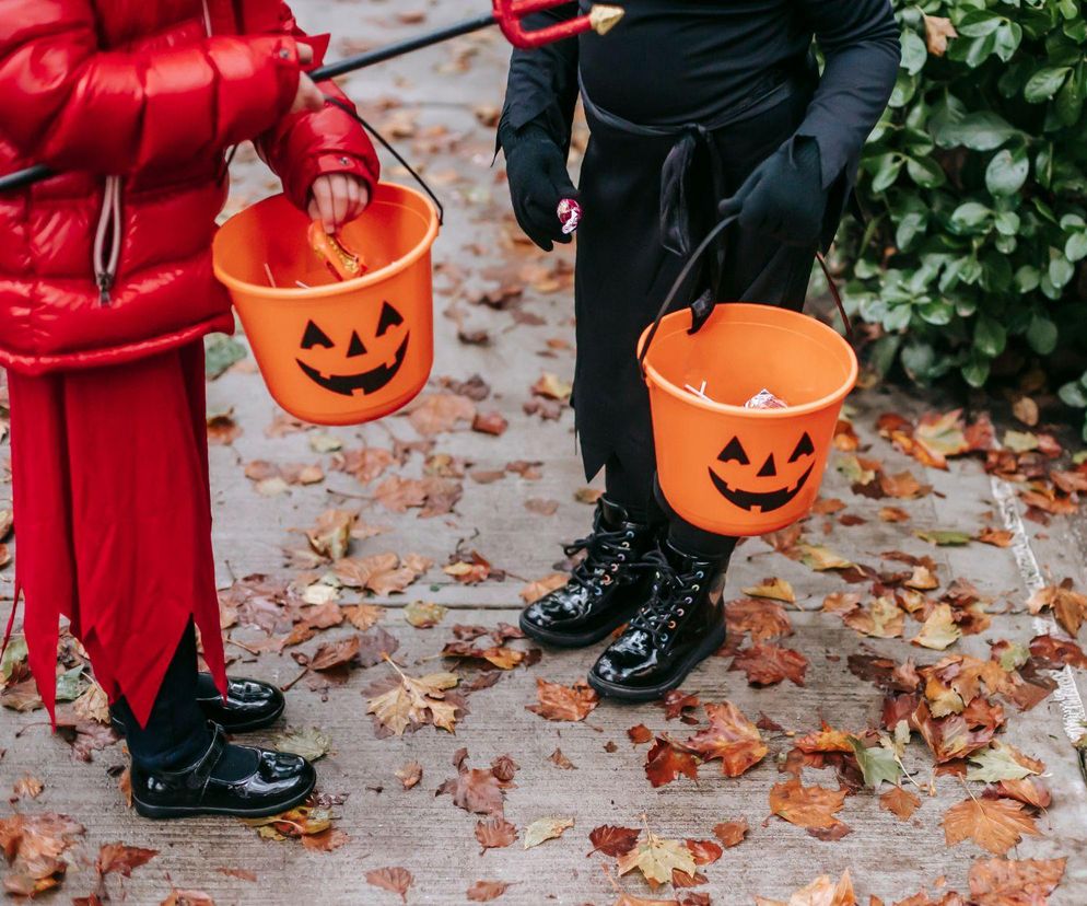 Upiorne imprezy na Halloween  2024 w Zielonej Górze. Lista