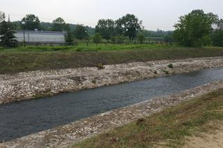 Plaża miejska w Będzinie