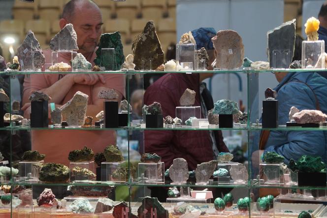 Giełda Minerałów, Biżuterii i Skamieniałości Geo Expo 2023 w Bydgoszczy. Tłumy w SISU Arenie [ZDJĘCIA]