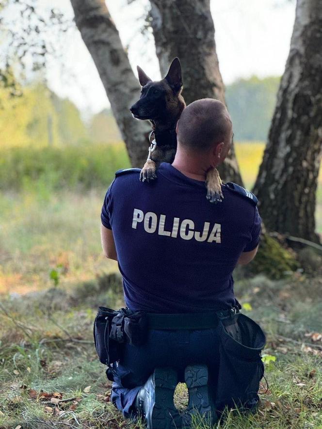 Trawka - nowy pies suwalskiej Policji