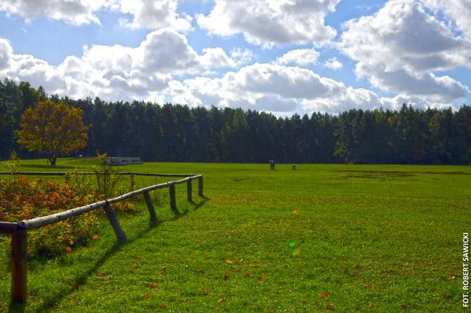 Zobacz jak wygląda największy park miejski w Polsce