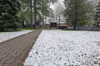 Śnieżyca w Małopolsce. Atak zimy w połowie maja!