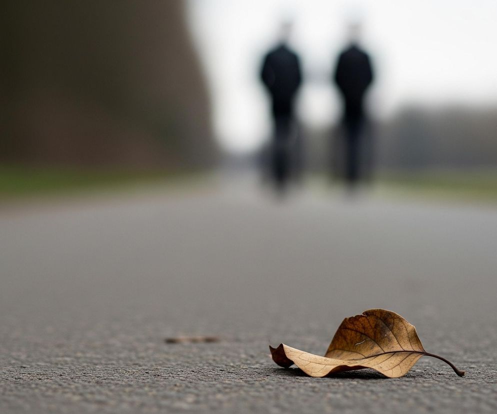 Brązowy, suchy liść z wyraźnymi żyłkami i ogonkiem leży na szarej, asfaltowej nawierzchni drogi, znajdując się w dolnej środkowej części kadru. Z lewej strony liścia widać jeszcze jeden, mniejszy i ciemniejszy liść. Droga rozciąga się w głąb obrazu, a w tle, rozmazane i niewyraźne, widoczne są dwie sylwetki ludzi, idących w oddali. Po obu stronach drogi zarysowują się zamazane pasma zieleni i ciemnych drzew, a niebo jest jasne i zachmurzone.