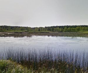 Bory Dolnośląskie