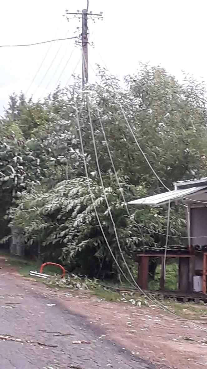 Skutki burzy w Krynkach. Złamany konar zerwał linię energetyczną i uszkodził auto