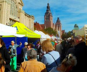 Kiermasz ogrodniczy na Wałach Chrobrego