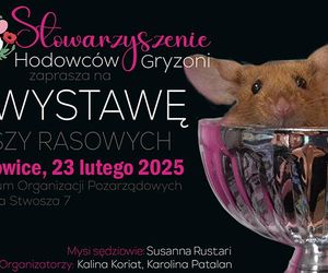10 najlepszych imprez na weekend 21-23 lutego w województwie śląskim