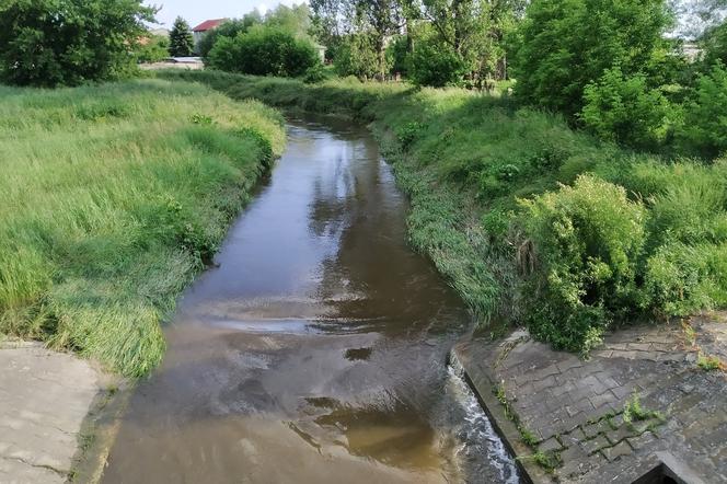 Małe zbiorniki wodne ocalą Radom przed podtopieniami ?