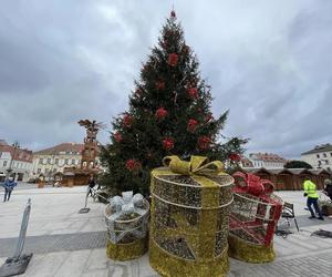 Ubieranie choinki na Starym Rynku w Bydgoszczy. Czuć już magię świąt 