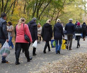 Tłumy na cmentarzu na Miłostowie