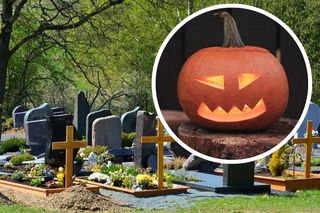 Skąd wzięła się dynia na Halloween? Dawni Celtowie mieli swoje powody! Wszystko wiąże się z legendą o Jacku Stingy
