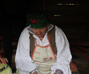 Tak ongiś siekano kapustę w woj. lubelskim. „Obieraczki kapuściane” w Muzeum Wsi Lubelskiej