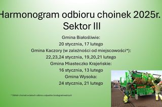 Znamy tegoroczny harmonogram odbioru choinek