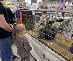 ZooPark w Lublinie. Dzień drugi